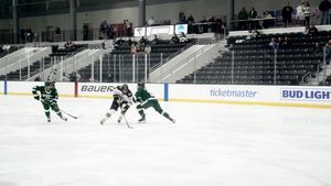 Image post by @lu_whockey on Instagram