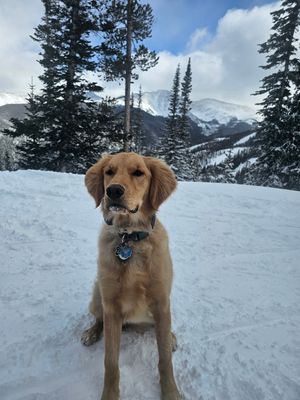 Image post by @winterparkresort on Instagram