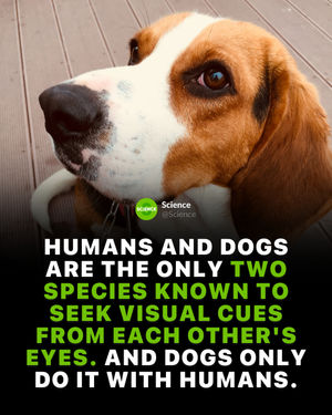 Image post by @science on Instagram