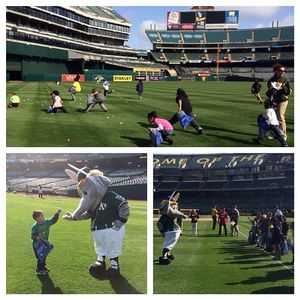 Image post by @athletics on Instagram