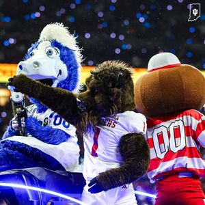 Image post by @hoosierthebison on Instagram