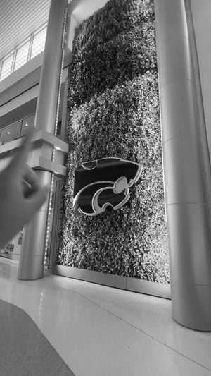 Video post by @kstateofficial on TikTok