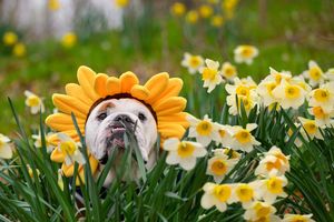 Image post by @thebutlerblue on Instagram