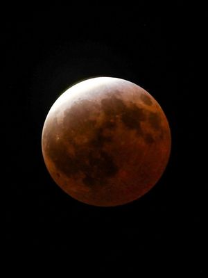 Image post by @fox8nola on Instagram