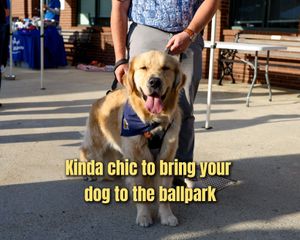 Image post by @chasriverdogs on Instagram