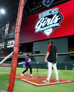 Image post by @dbacksgiveback on Instagram