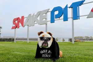 Image post by @thebutlerblue on Instagram