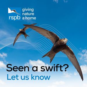 Image post by @rspb on Instagram