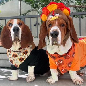 Image post by @pupcorntreats on Instagram