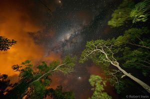 Image post by @robertirwinphotography on Instagram