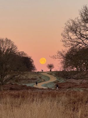 Image post by @fubiz on Instagram