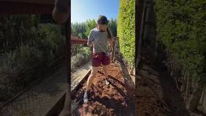 Video post by @carmeninthegarden on YouTube
