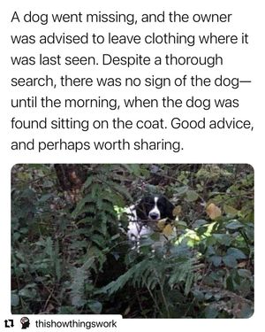 Image post by @shop_buddybythesea on Instagram