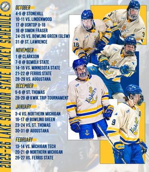 Image post by @lakestatehockey on Instagram
