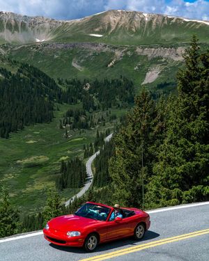 Image post by @rugroams on Instagram