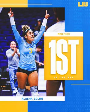 Image post by @liu_volleyball on Instagram