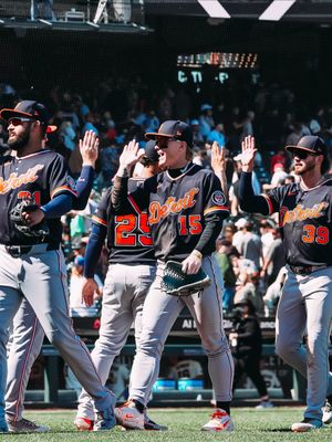 Image post by @tigers on Instagram