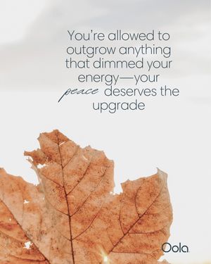 Image post by @oolalife on Instagram