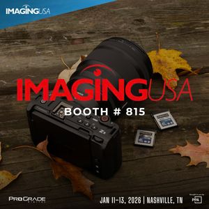 Image post by @progradedigital on Instagram