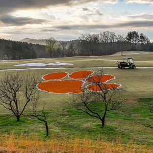 Image post by @clemsontigers on Instagram