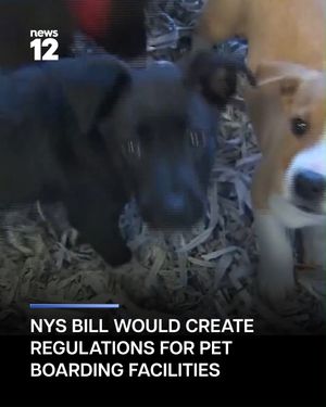 Image post by @news12li on Instagram