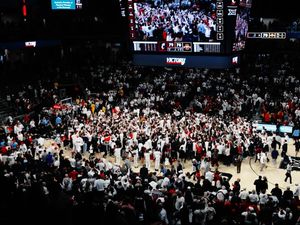 Image post by @hallejeanmedia on Instagram