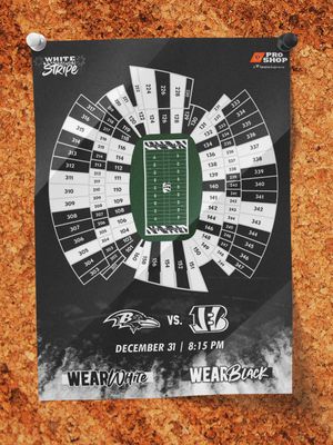 Image post by @bengals on Instagram