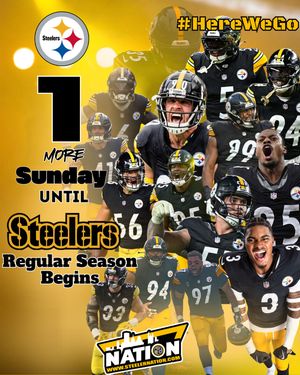Image post by @steelernationcom on Instagram