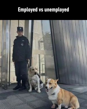 Image post by @9gag on Instagram