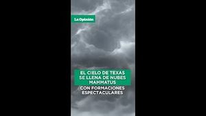 Video post by @laopinionla on YouTube
