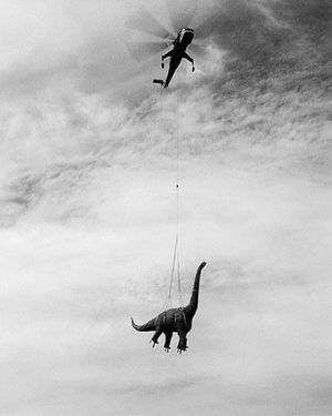 Image post by @fubiz on Instagram