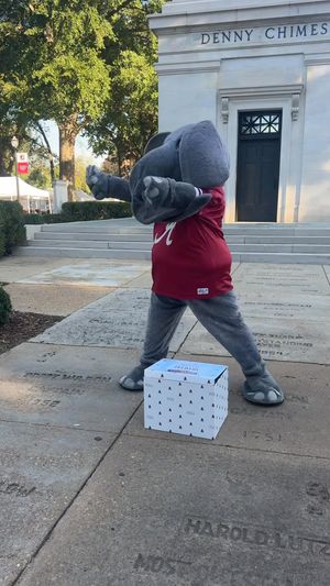 Image post by @alabamaathletics on Facebook