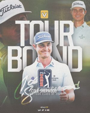 Image post by @vandymgolf on Instagram