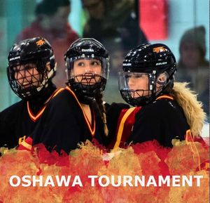 Image post by @GryphonRingette on Facebook