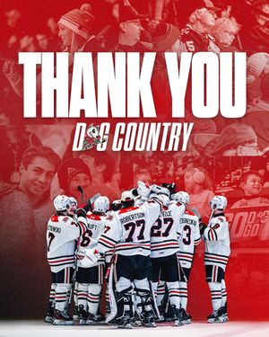 Image post by @ohlicedogs on Instagram