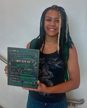 Image post by @canes_vb on Instagram