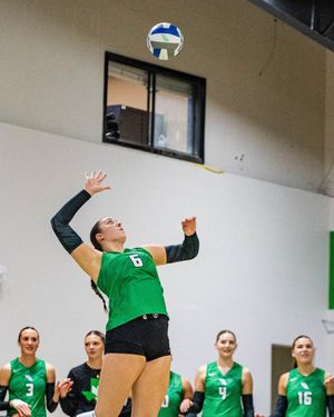 Image post by @meangreenvb on Instagram