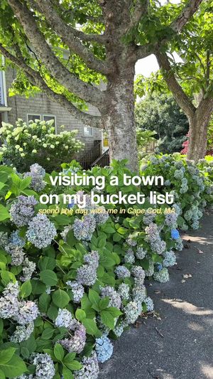 Video post by @kyleapaige on TikTok