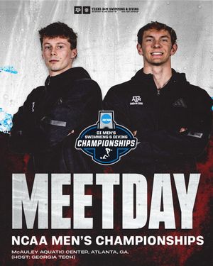 Image post by @aggieswimdive on Instagram
