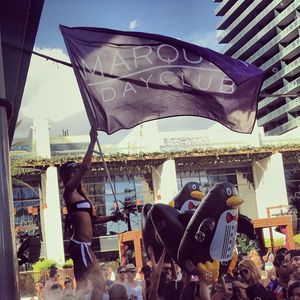 Image post by @marqueelv on Instagram