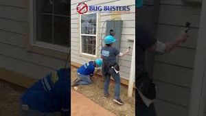 Video post by @bugbustersusa on YouTube
