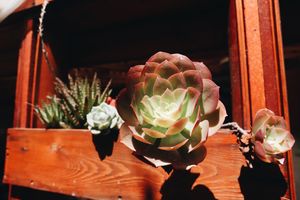 Image post by @plusjames on Instagram