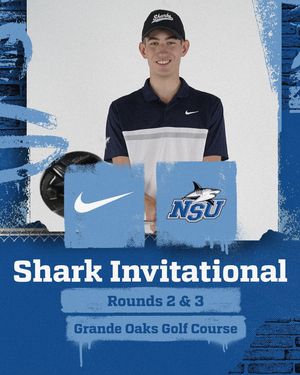Image post by @nsu_mgolf on Instagram