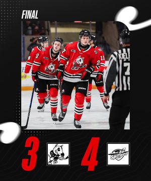 Image post by @ohlicedogs on Instagram