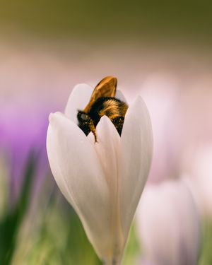 Image post by @sony.deutschland.at on Instagram