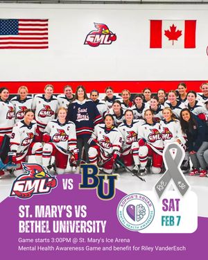 Image post by @smumn_whockey on Instagram