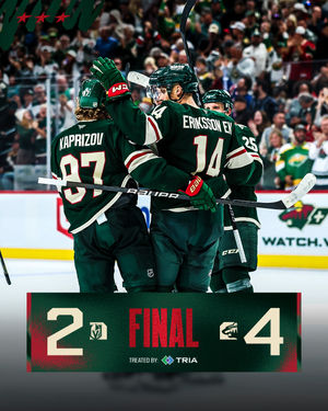Image post by @minnesotawild on Instagram
