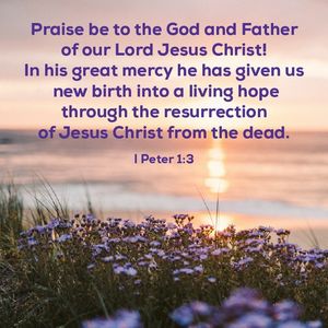 Image post by @carmelchurch on Instagram
