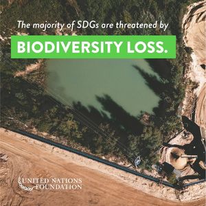 Image post by @unfoundation on Instagram