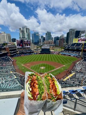 Image post by @bfdsandiego on Instagram